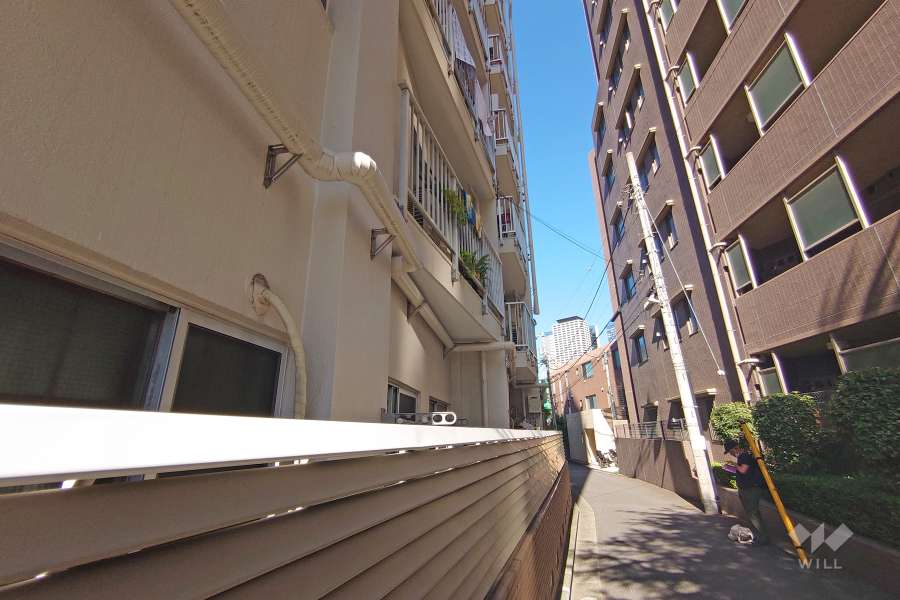 敷地南側の前面道路（西側から）