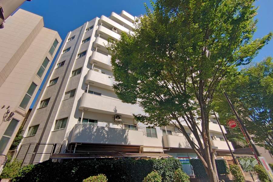 中野坂上マンションの外観（西側から）