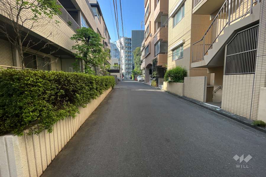 敷地の西側道路（北側から）