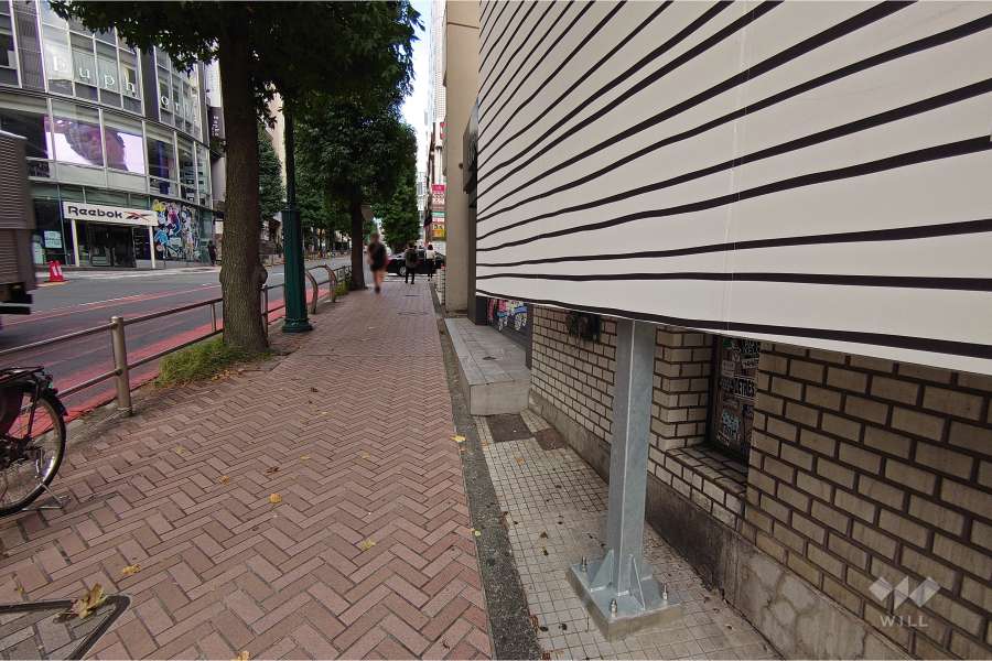敷地南西側の前面道路（南東側から）
