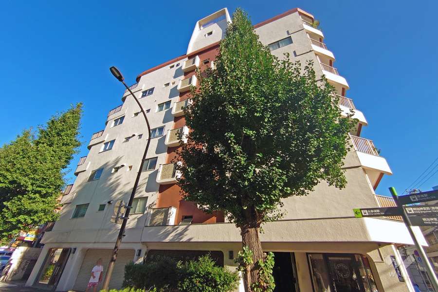 原宿ニュースカイハイツの外観（北西側から）