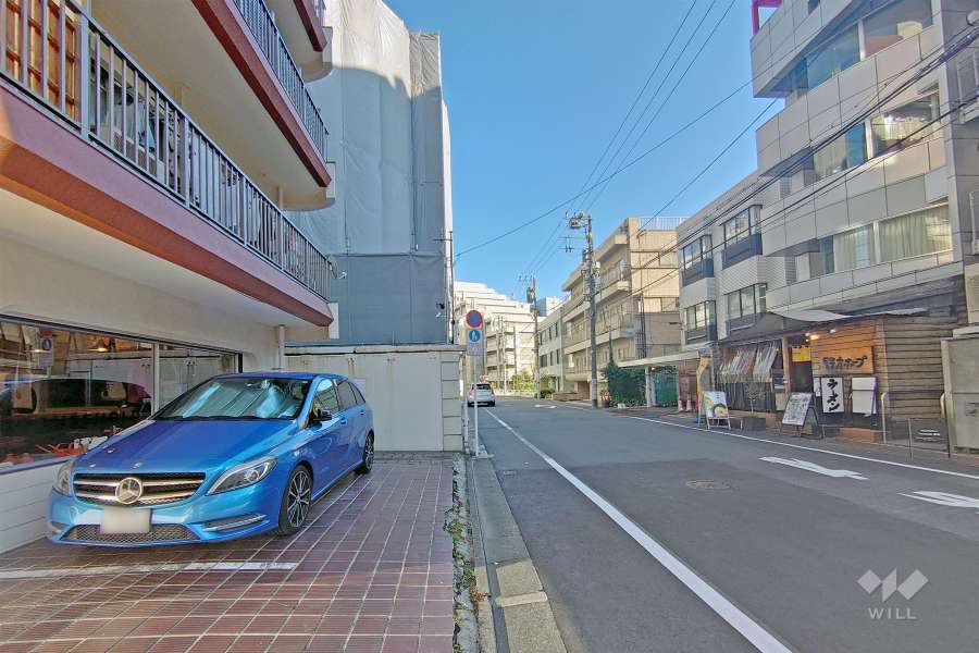 敷地の西側道路（北側から）