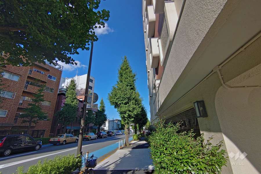 敷地北側前面道路（西側から）