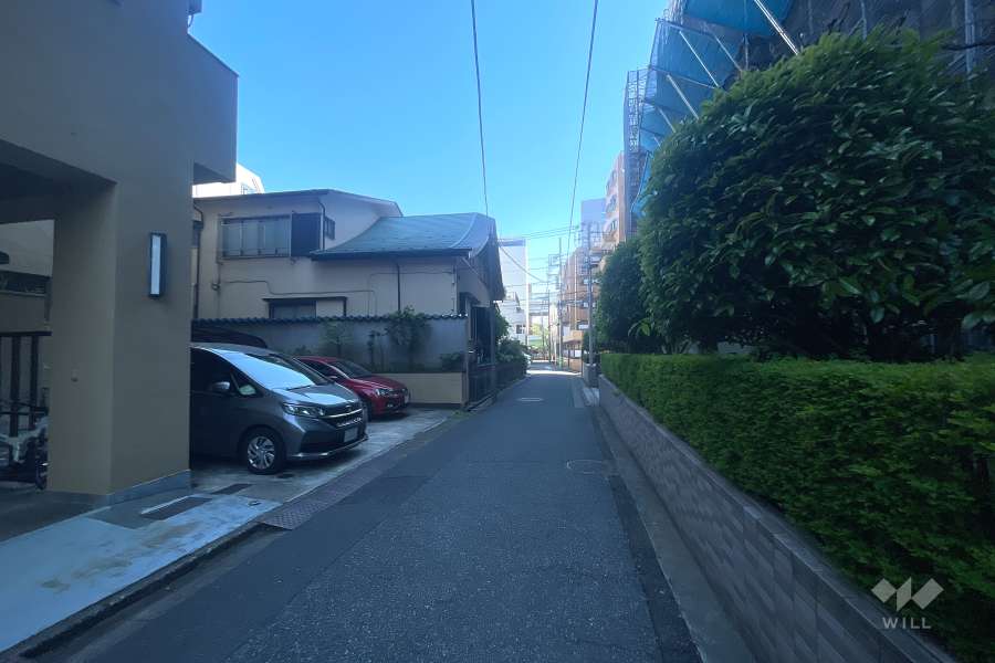 敷地西側の前面道路（北側から）