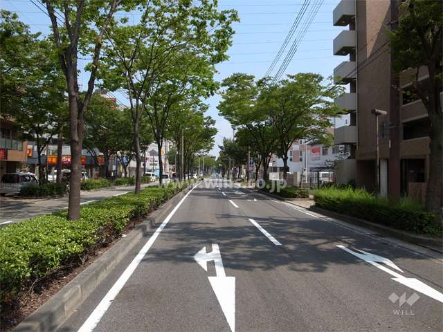 敷地北側は街路樹のきれいな山幹通りに面しています。