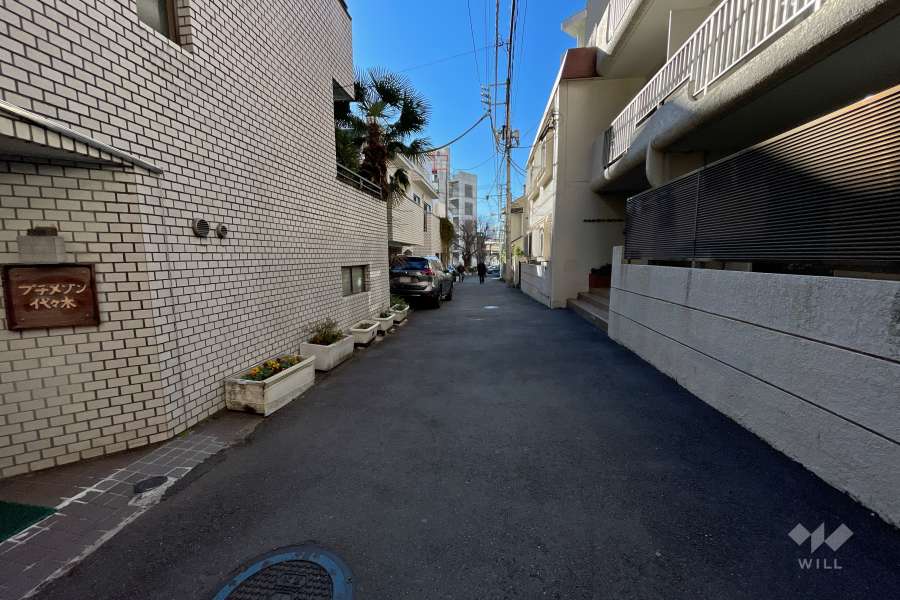 敷地西側の前面道路（北側から）
