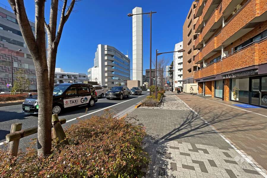 敷地西側の前面道路（南側から）