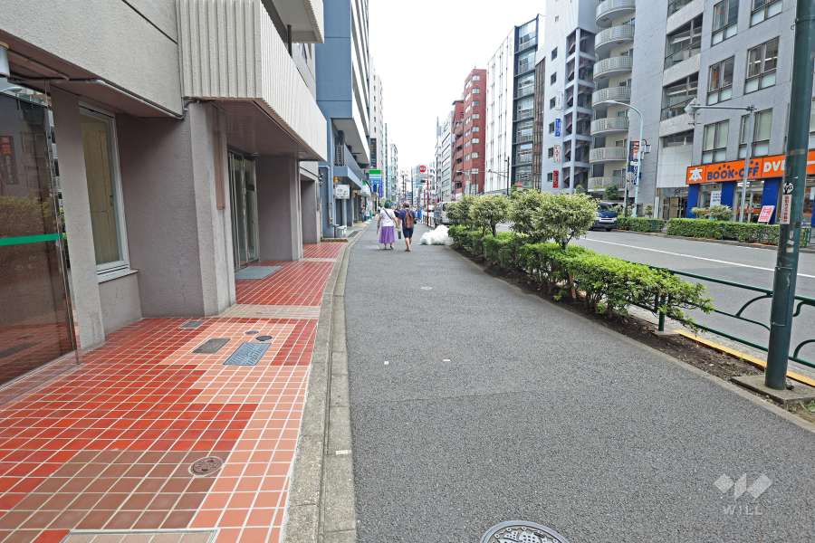 敷地西側前面道路（エントランス付近）