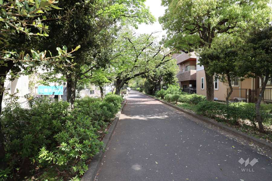 敷地南側の前面道路（西原緑道）