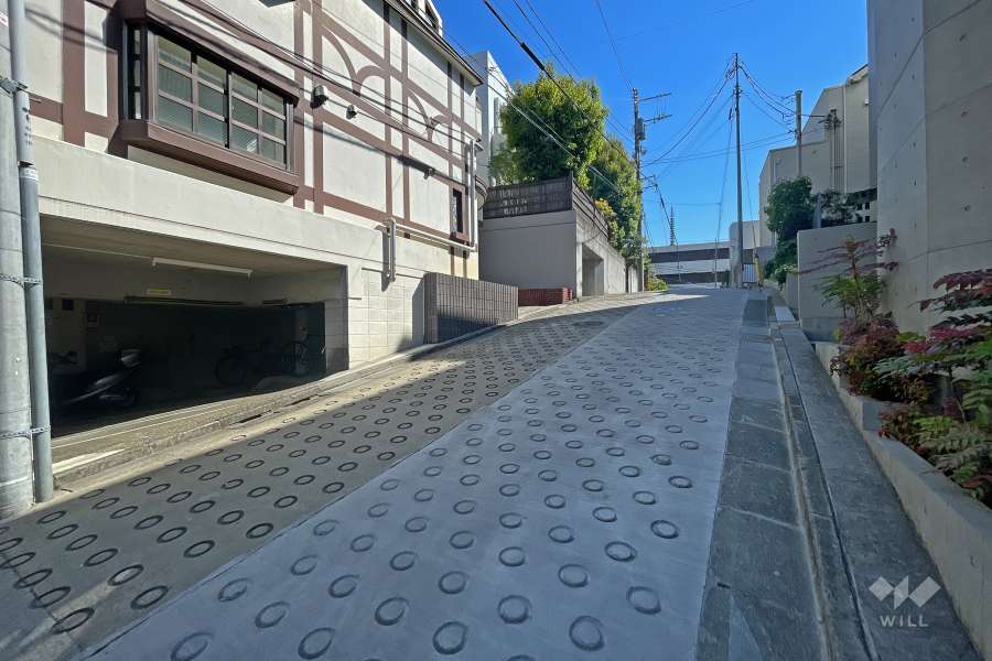敷地南側の前面道路（西側から）
