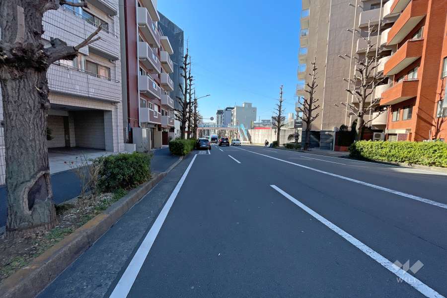 敷地西側の前面道路