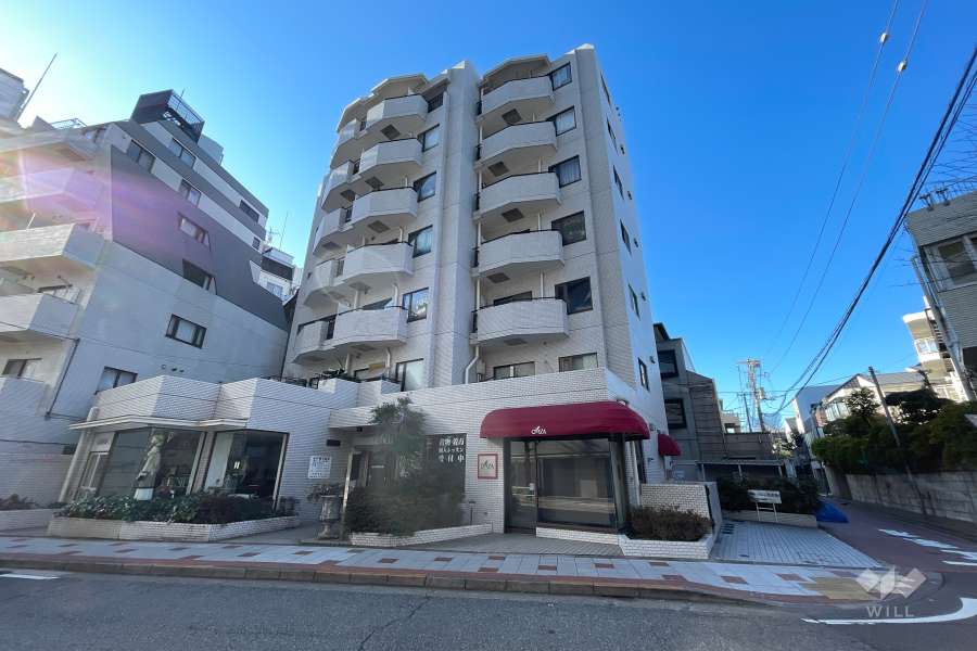 サンビューハイツ松濤の外観（北側から）