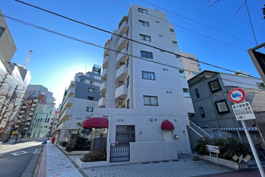 サンビューハイツ松濤の外観（北側から）