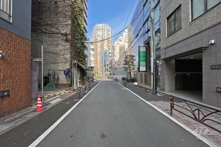 敷地南西側の前面道路（南東側から）
