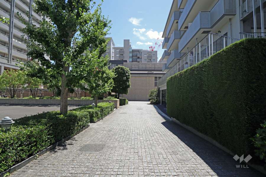 敷地東側前面道路（北側から）