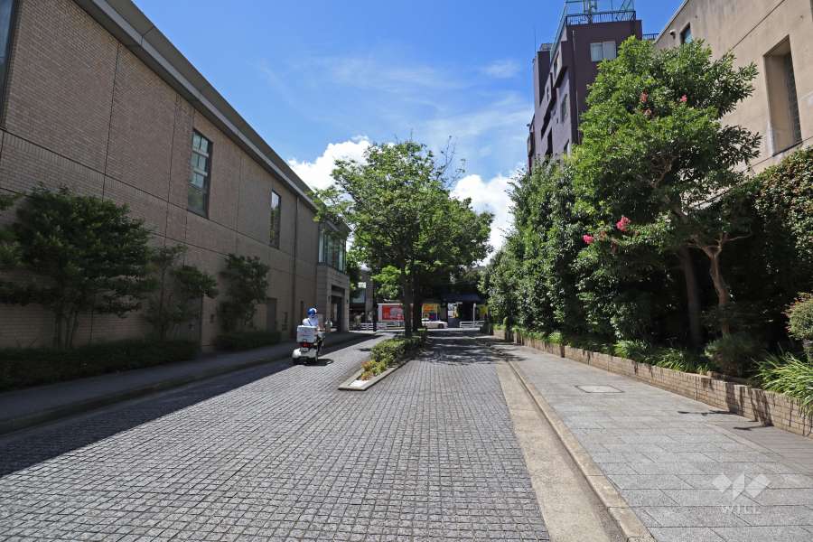 敷地南側道路（東側から）。向かいにはスーパーや専門店などが入ったショッピング施設『代官山アドレス・ディセ』があります。
