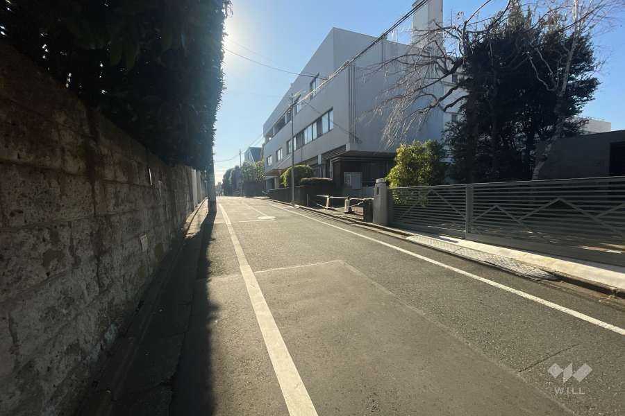敷地の西側前面道路（北側から）