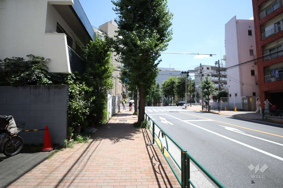 敷地西側の前面道路（北側から）