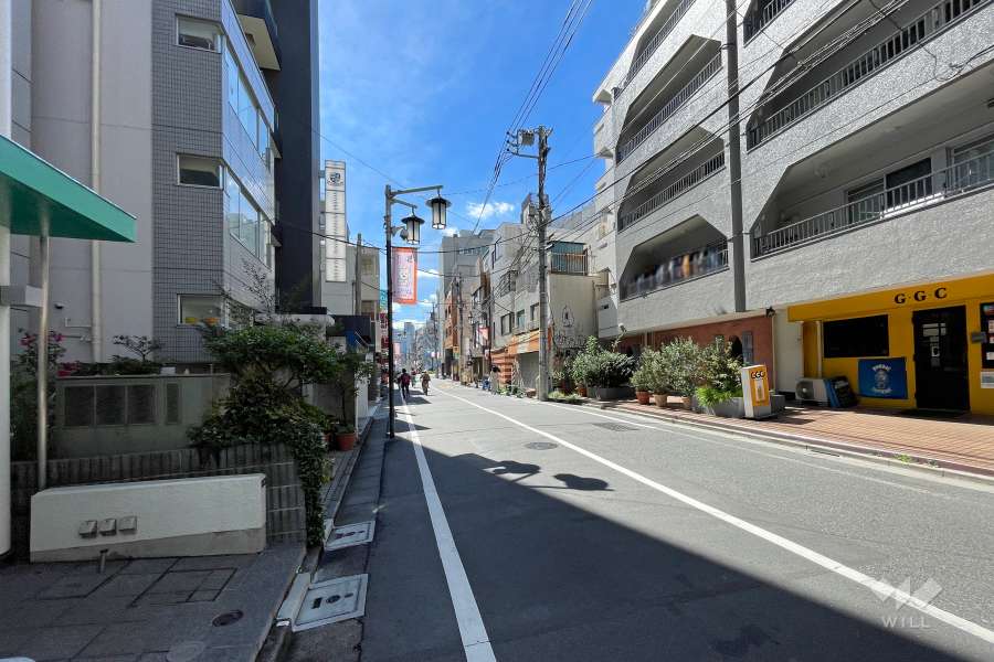 敷地北東側の前面道路　