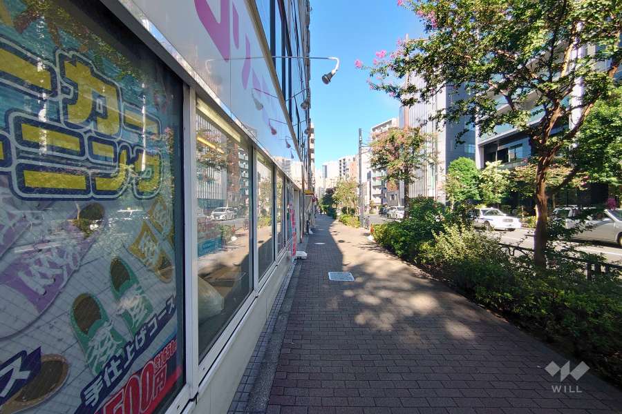 敷地南東側の前面道路（南西側から）