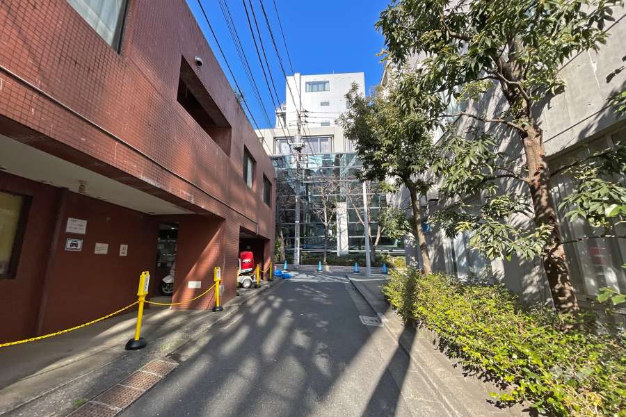 敷地東側の前面道路（南側から）