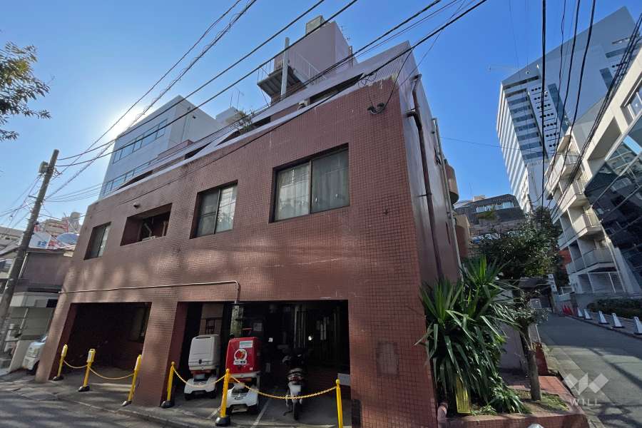 ライオンズマンション桜ヶ丘の外観（東側から）