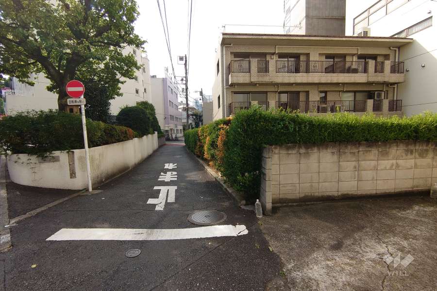 敷地南西側の前面道路（南東側から）
