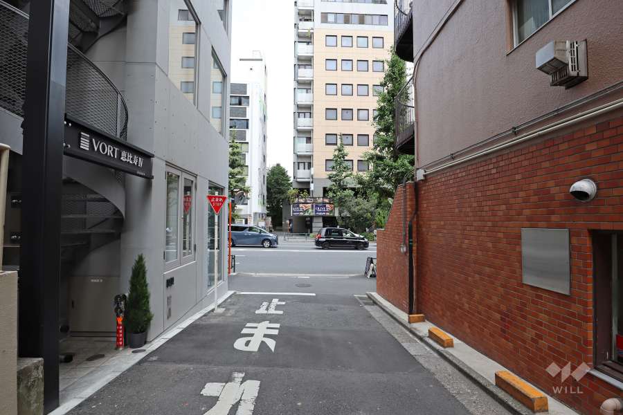 敷地東側の前面道路(南側から)