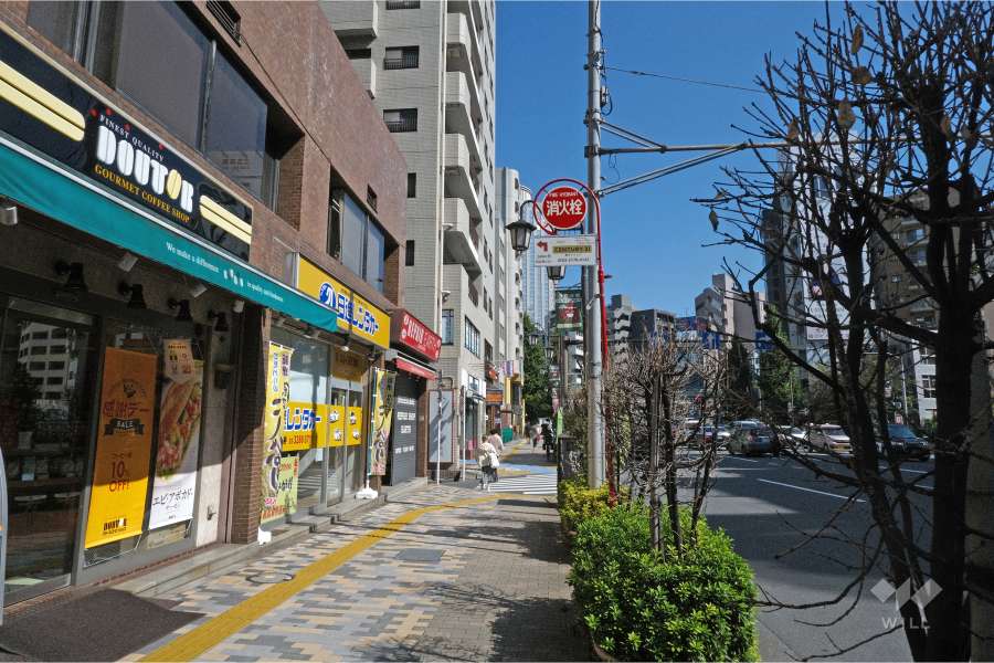 敷地南東側の前面道路（南西側から）