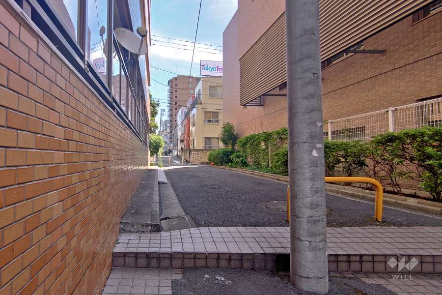 敷地南側の前面道路（西側から）