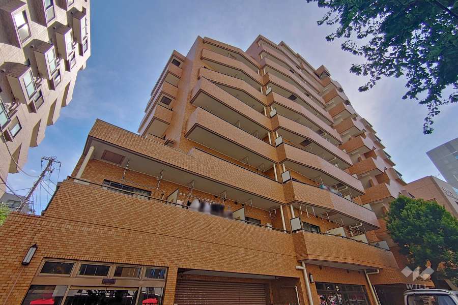 ダイアパレス幡ヶ谷第2の外観（西側から）