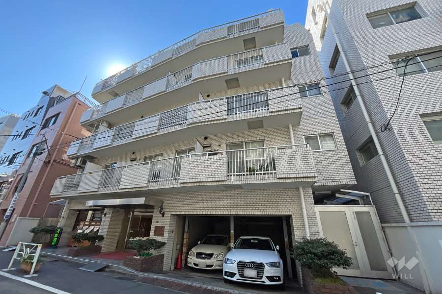 サンビューハイツ外苑の外観（北側から）