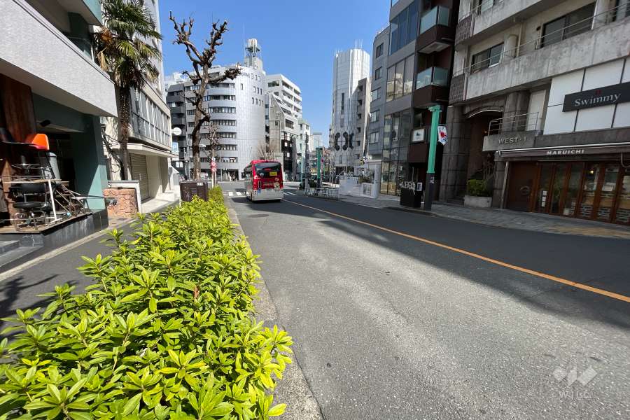 敷地南東側の前面道路（南西側から）