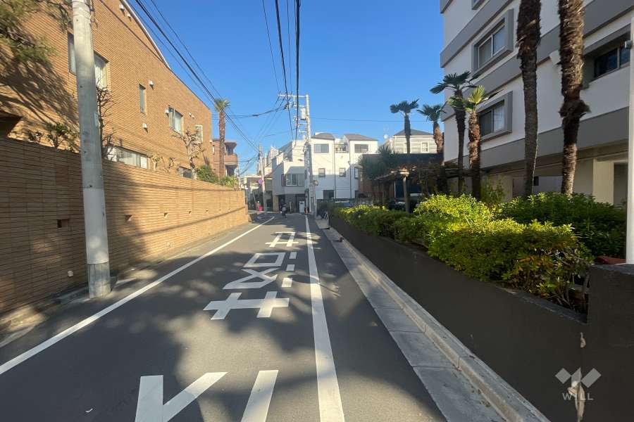 敷地の西側前面道路（南側から）