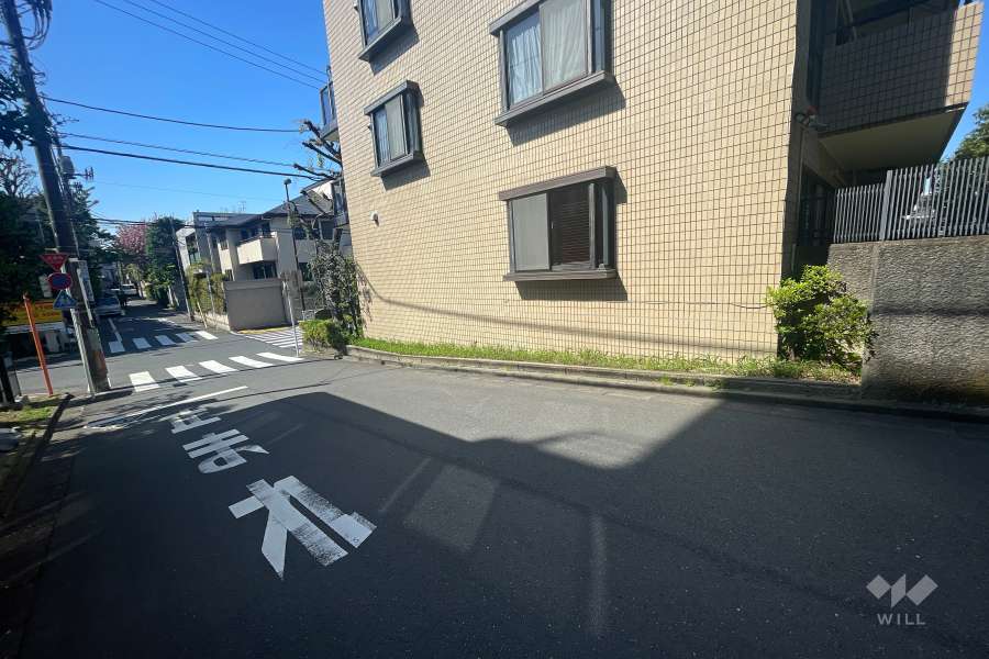 敷地南西側の前面道路（南東側から）