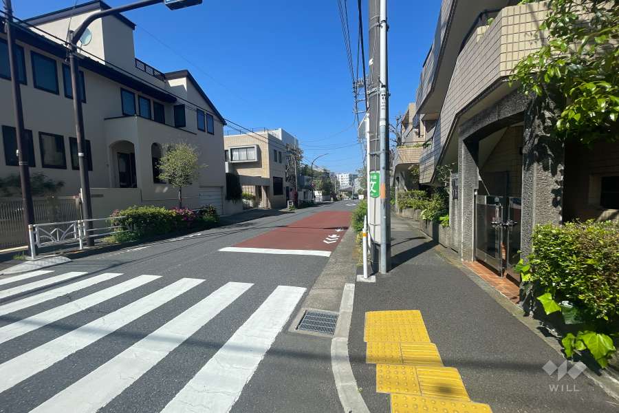 敷地北西側の前面道路（南西側から）