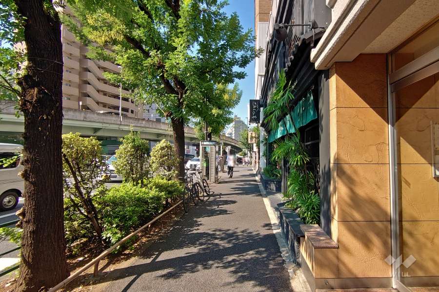 敷地西側の前面道路（都道317号旧山手通り）