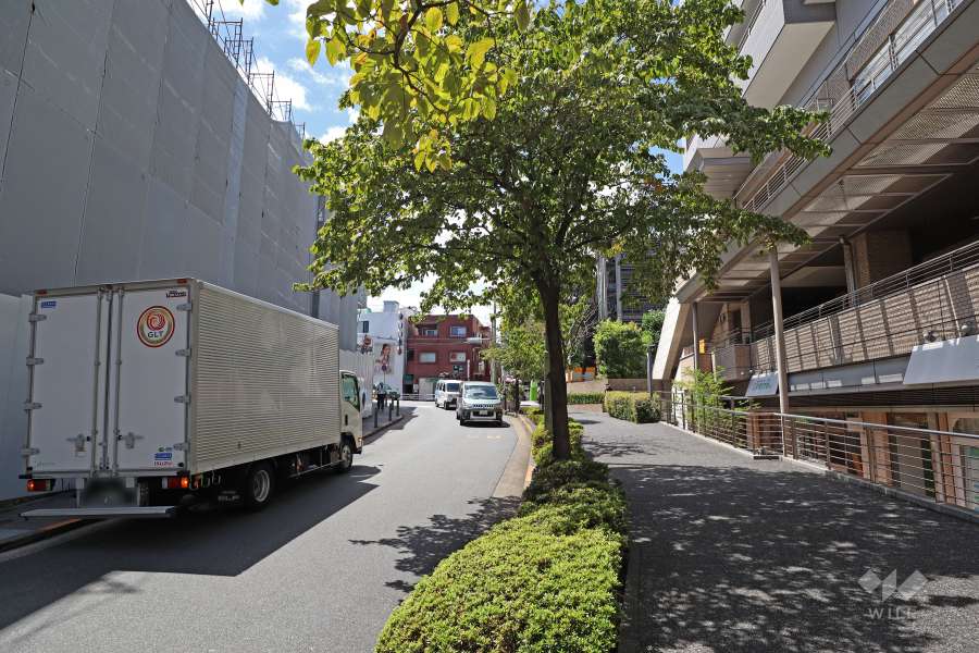 敷地の南側前面道路（南東側から）