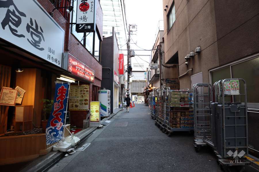 敷地西側の前面道路（北側から）