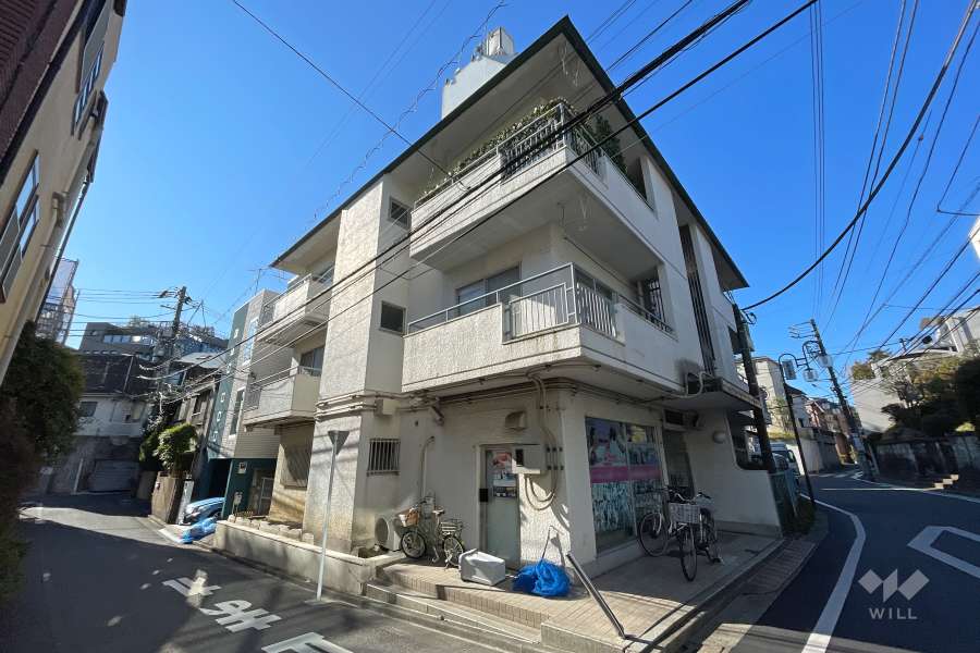 マンションの外観（北東側から）