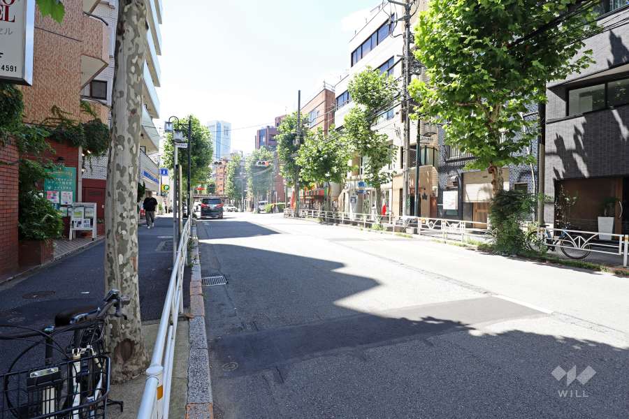 敷地北側の前面道路