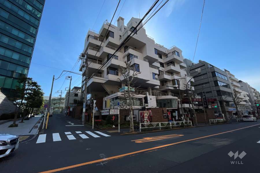 常盤松ロイアルハイツの外観（北西側から）