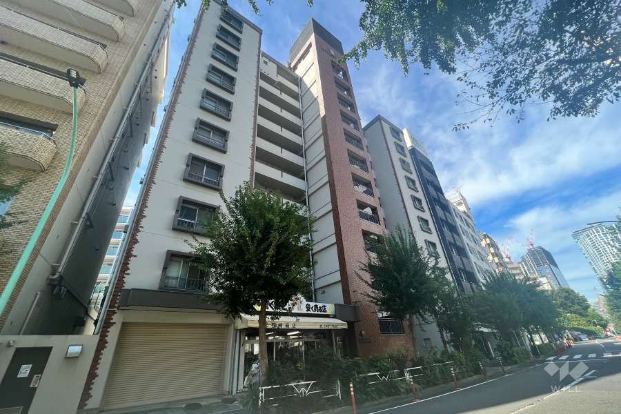 サンリーブ恵比寿の外観（南東側から）