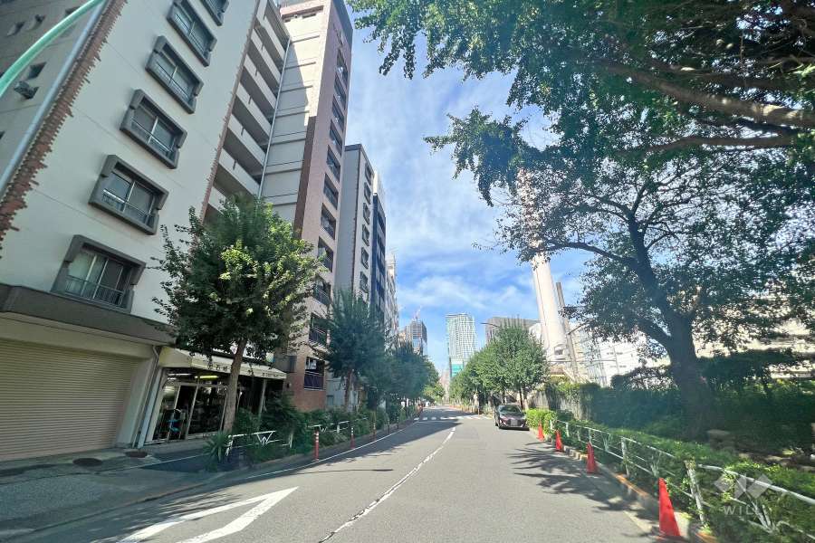 敷地東側の前面道路