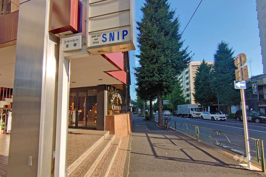 敷地南西側の前面道路（北西側から）