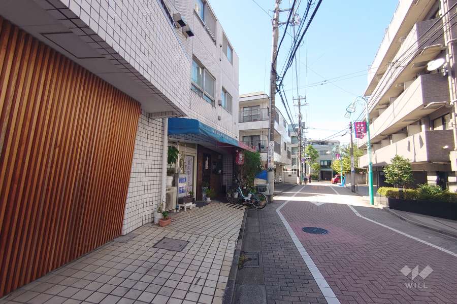 敷地北東側の前面道路（南東側から）