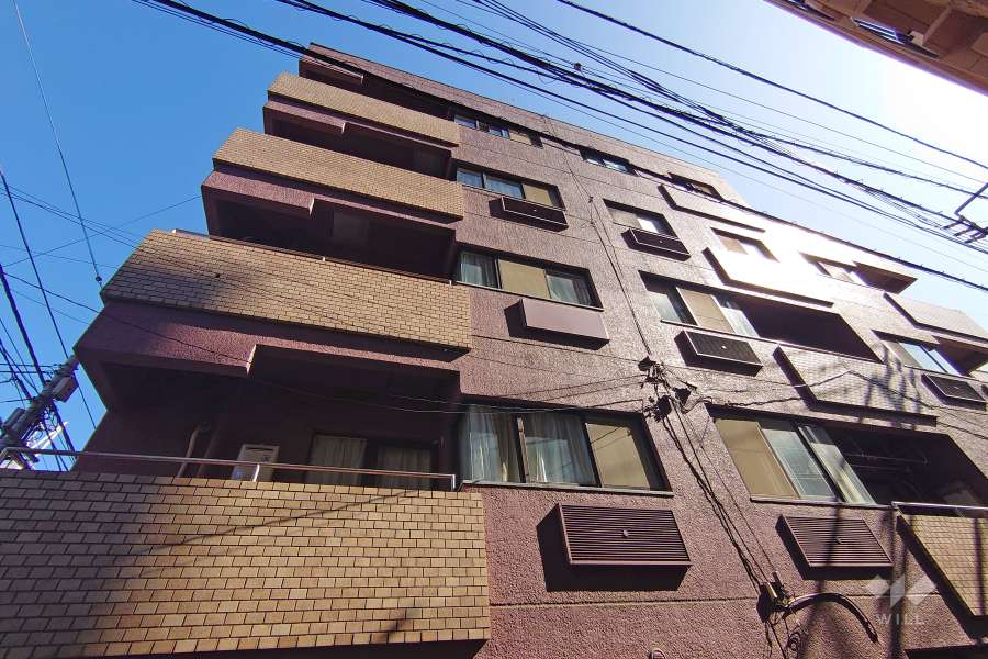 サンビューハイツ代官山の外観（南西側から）