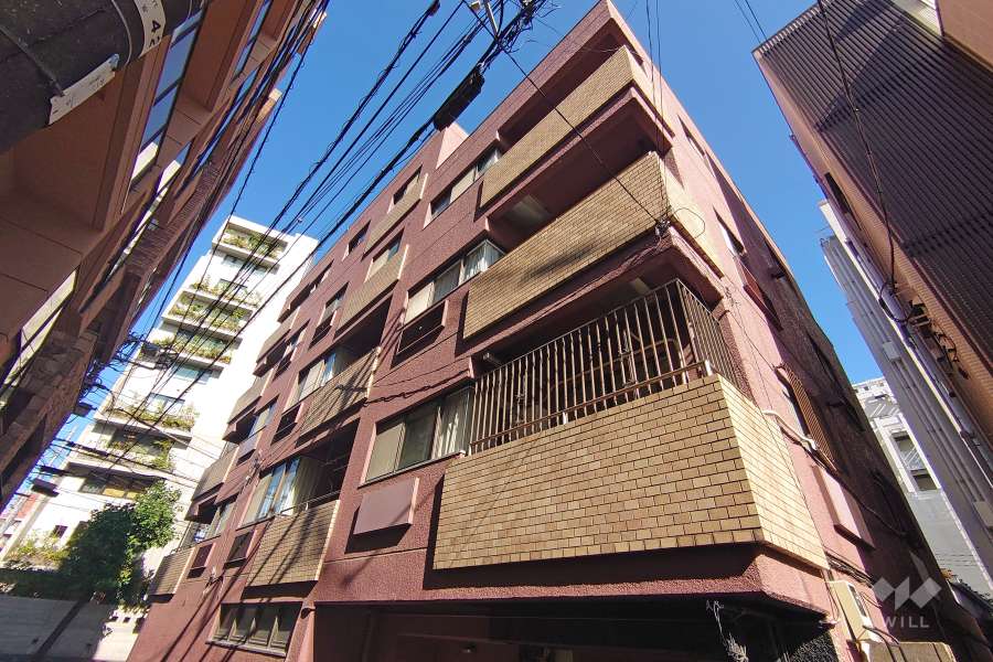 サンビューハイツ代官山の外観（南東側から）