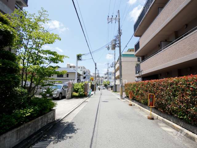 敷地南側の前面道路。敷地の3方が接道しています。