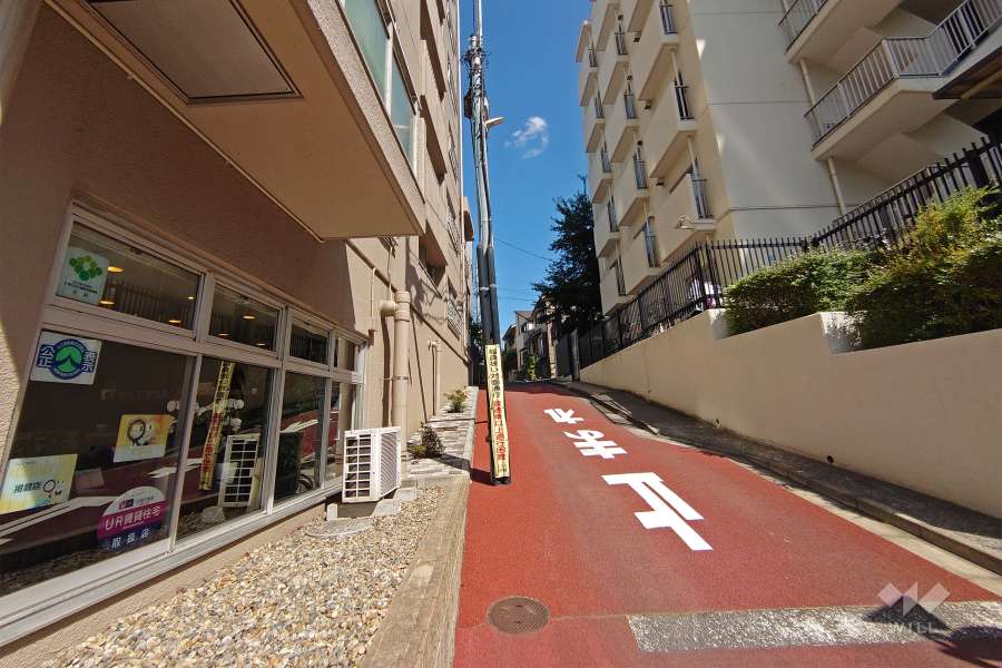 敷地南側の前面道路（西側から）